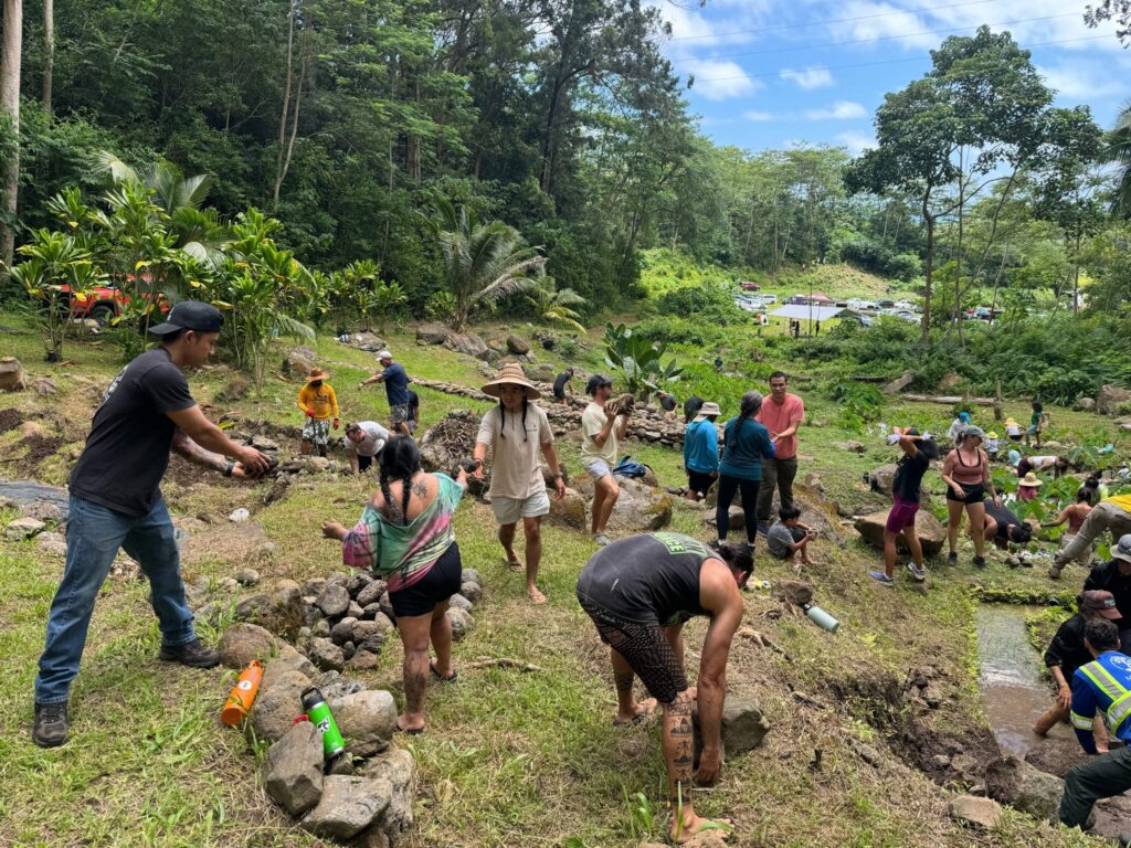 Restoring ancestral Kalo terraces