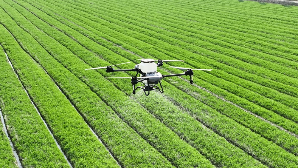 Drone utilisé pour la dispersion de pesticides.